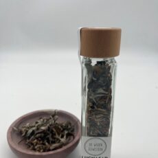 LUGHNASAD - beschützt