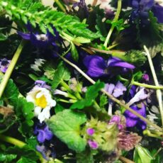 Jahreskreis-Paket "OSTARA"
