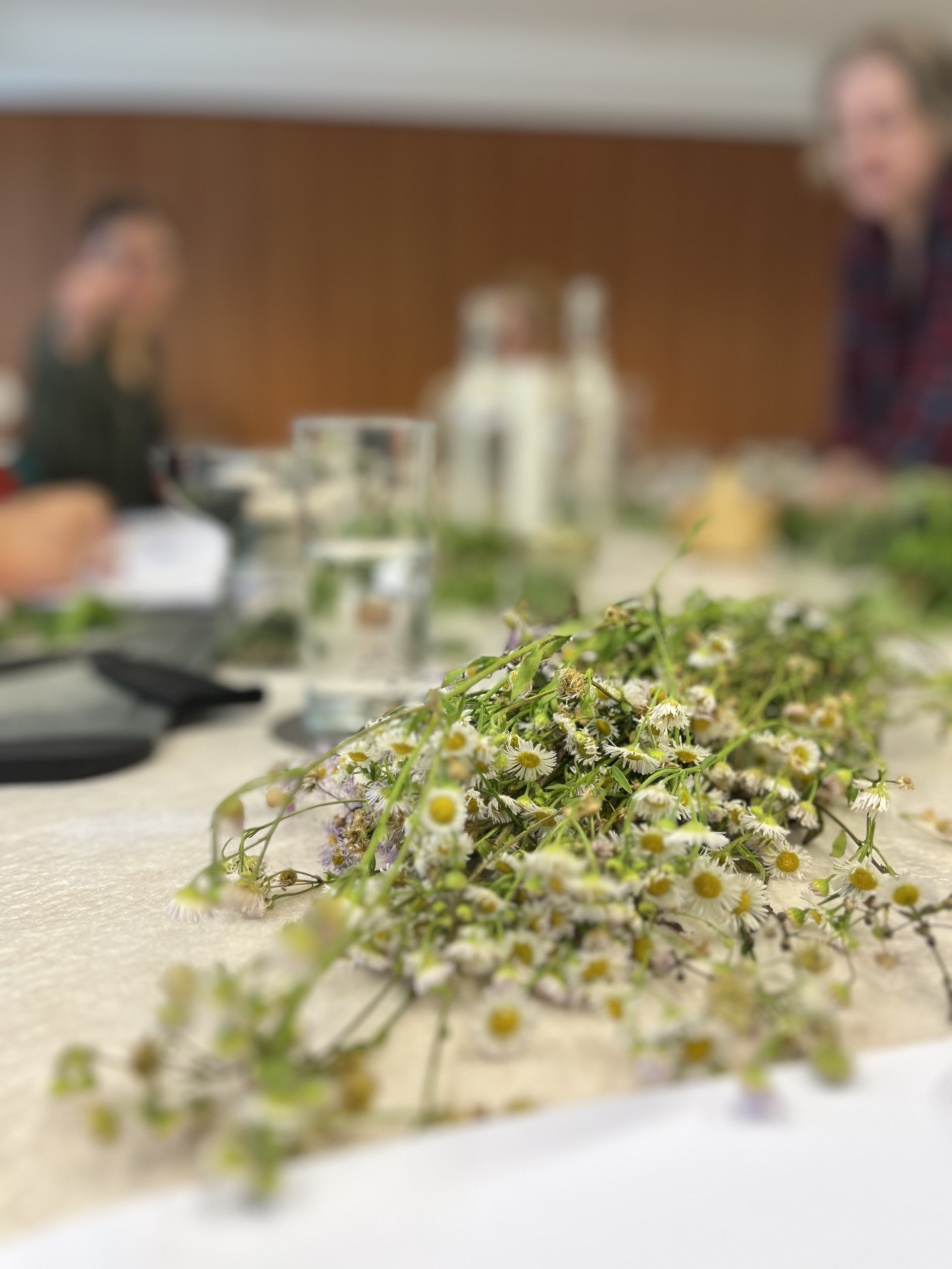 Wildkräuter in der Ernährung.