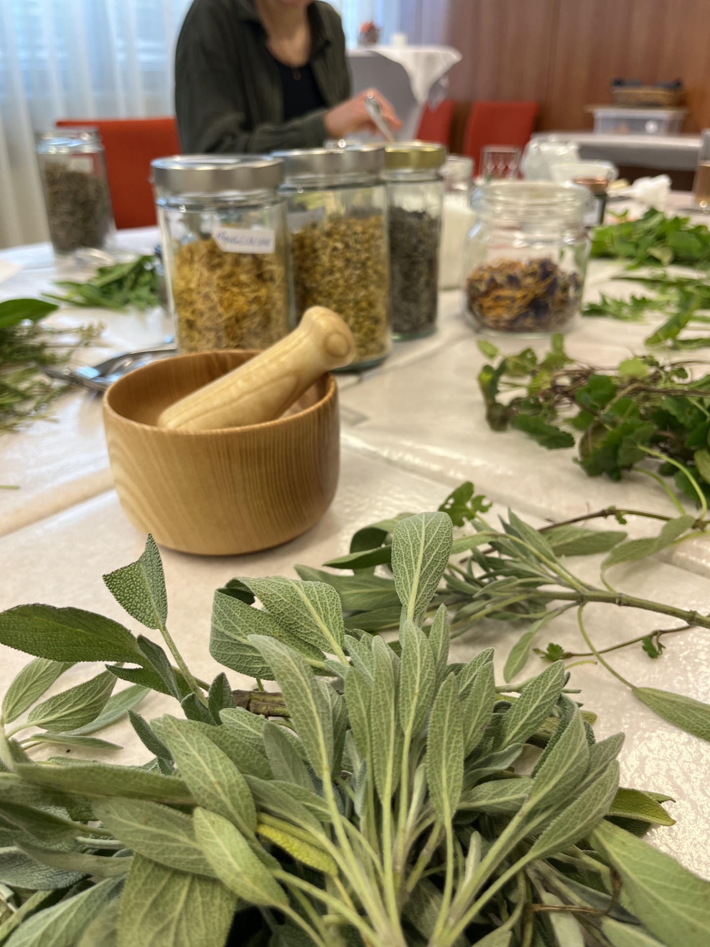 Wildkräuter in der Ernährung.